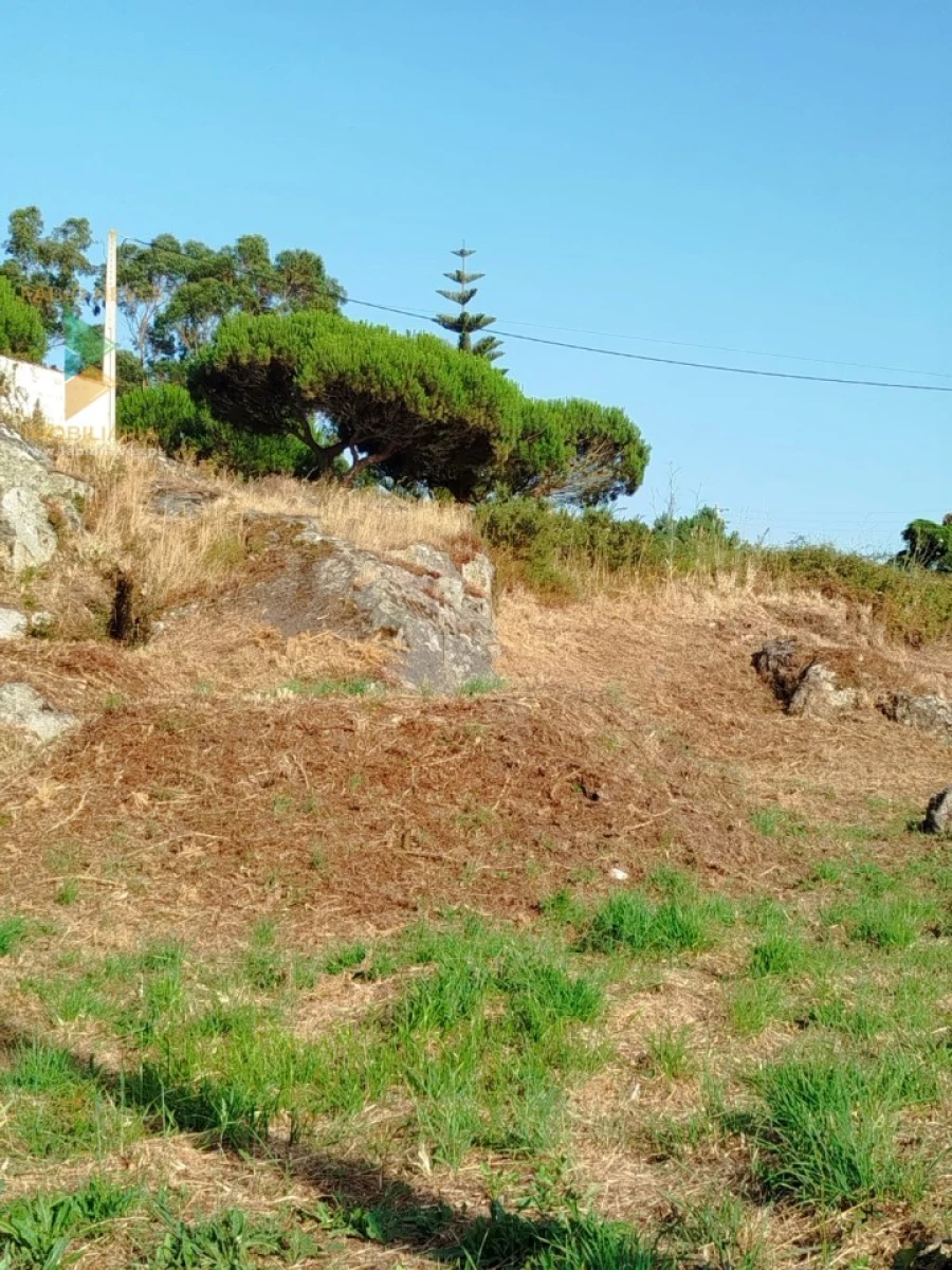 Terreno para Venda em Areosa Foto 4