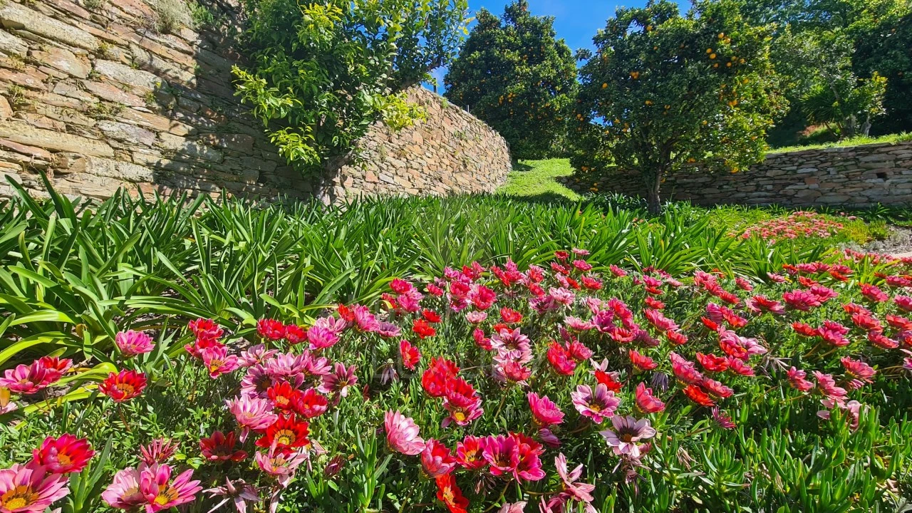 Negócio para Venda em Arganil Foto 37