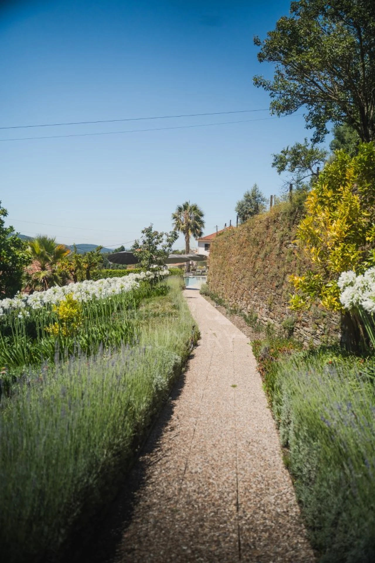 Negócio para Venda em Arganil Foto 56