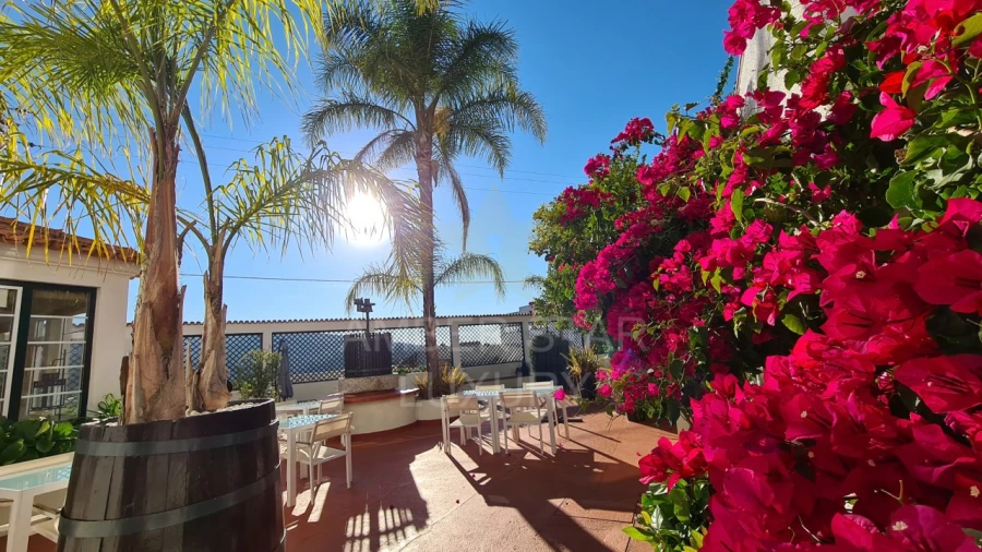 Negócio para Venda em Arganil Foto 30