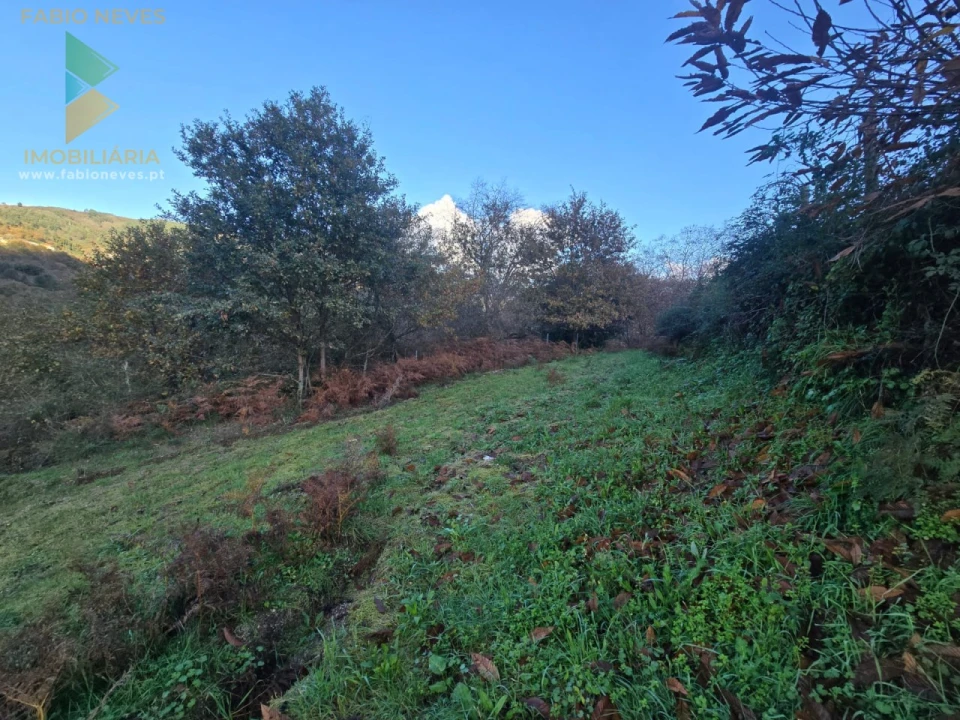 Terreno para Venda em Rio Frio Foto 5