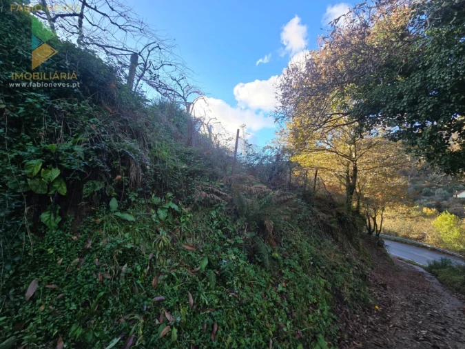 Terreno para Venda em Rio Frio Foto 4