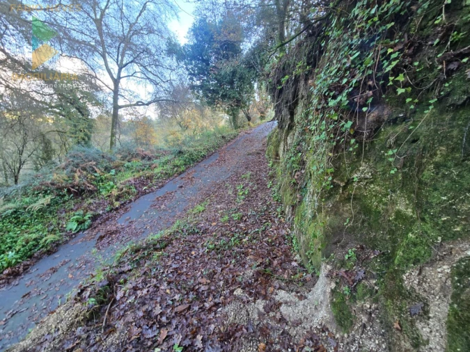 Terreno para Venda em Rio Frio Foto 3