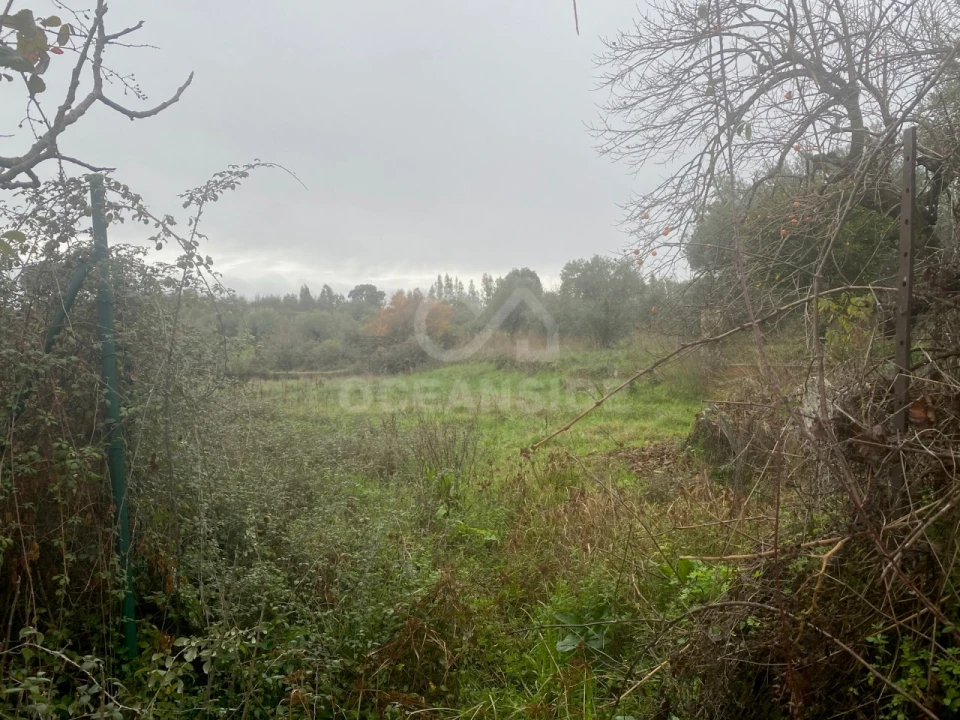 Moradia T1 para Venda em Salgueiro do Campo Foto 8