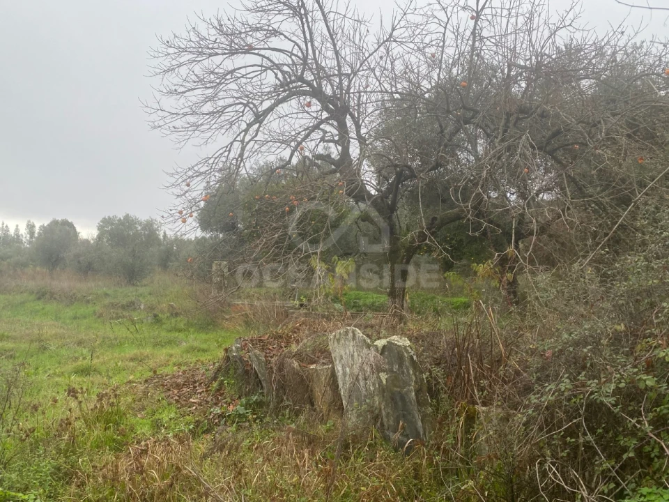 Moradia T1 para Venda em Salgueiro do Campo Foto 9