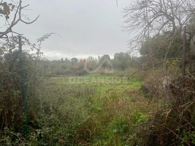 Moradia T1 para Venda em Salgueiro do Campo Foto 8