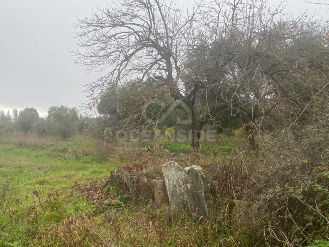 Moradia T1 para Venda em Salgueiro do Campo Foto 9