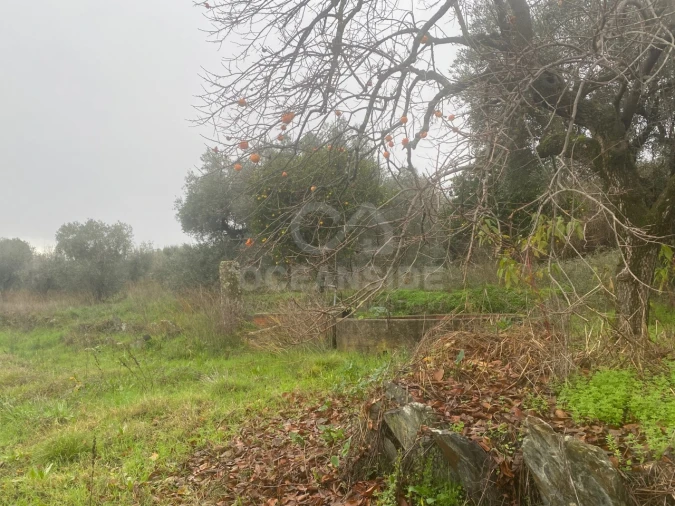 Moradia T1 para Venda em Salgueiro do Campo Foto 10