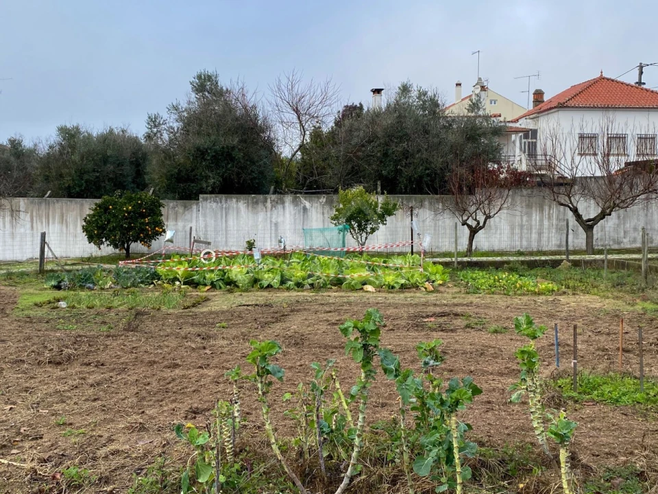 Moradia T5 para Venda em Escalos de Baixo e Mata Foto 59