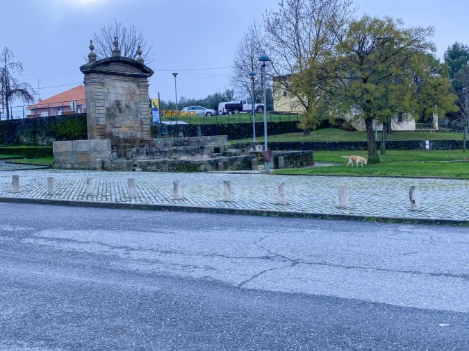 Moradia T5 para Venda em Escalos de Baixo e Mata Foto 67