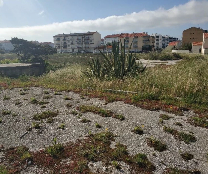 Terreno para Venda em São Pedro Foto 2