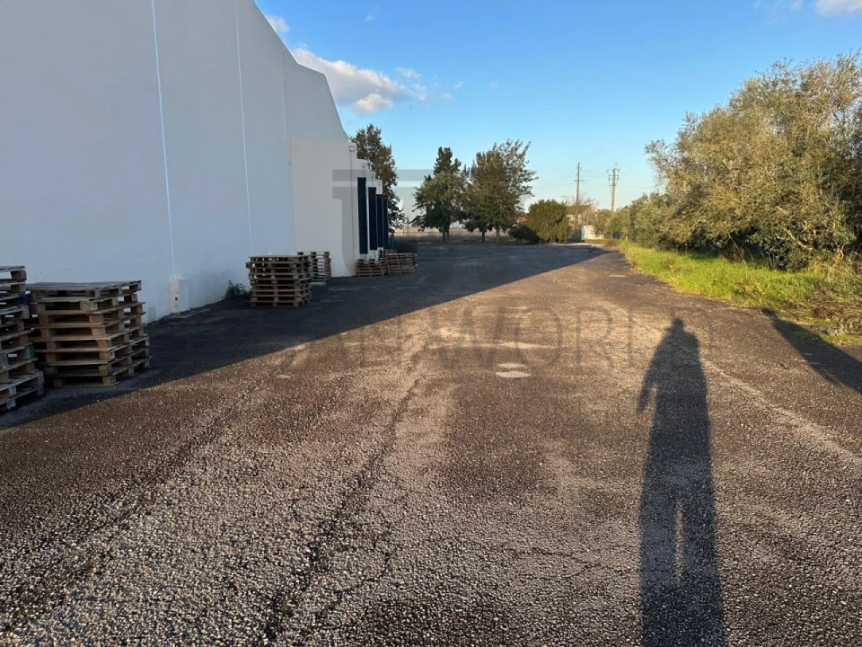 Armazém para Venda em Romeira e Várzea Foto 39
