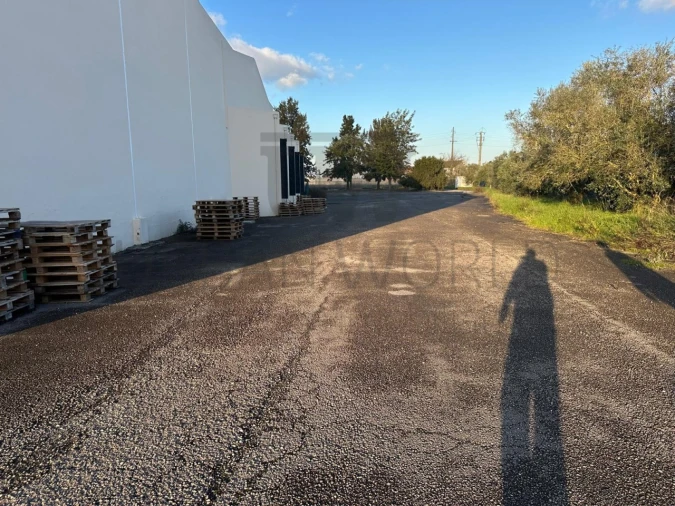 Armazém para Venda em Romeira e Várzea Foto 39
