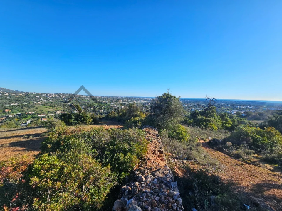 Terreno Agricola ou Rústico para Venda em Loule (São Sebastião) Foto 3