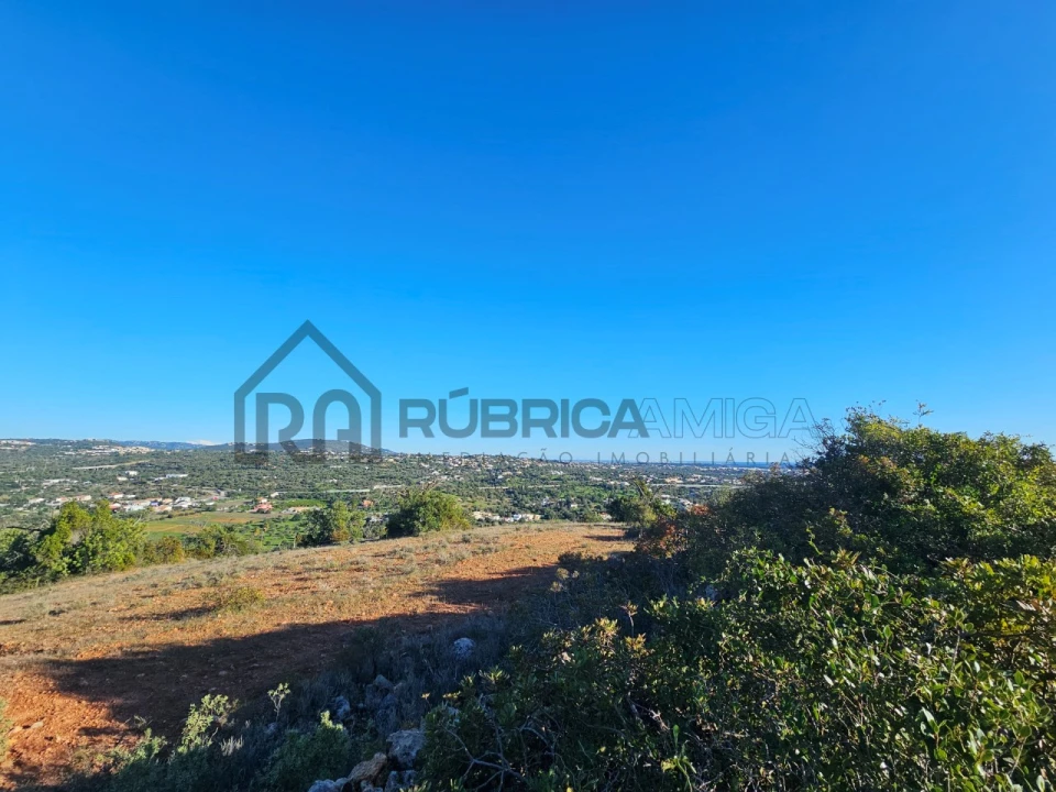 Terreno Agricola ou Rústico para Venda em Loule (São Sebastião) Foto 5