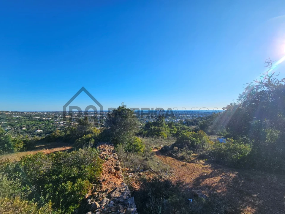Terreno Agricola ou Rústico para Venda em Loule (São Sebastião) Foto 9