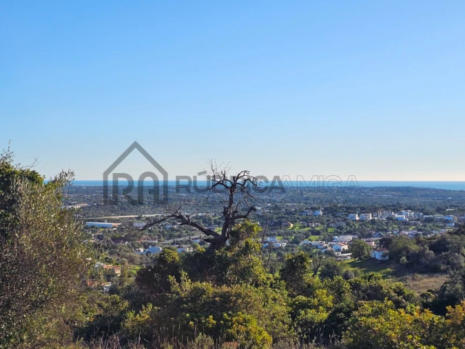 Terreno Agricola ou Rústico para Venda em Loule (São Sebastião) Foto 1