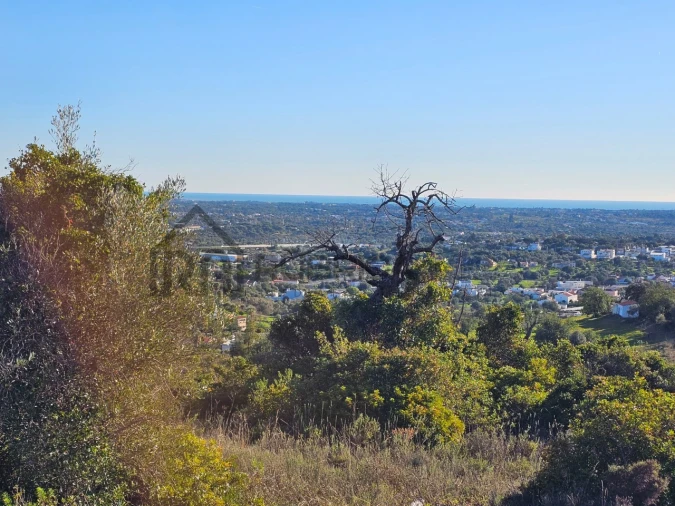Terreno Agricola ou Rústico para Venda em Loule (São Sebastião) Foto 2