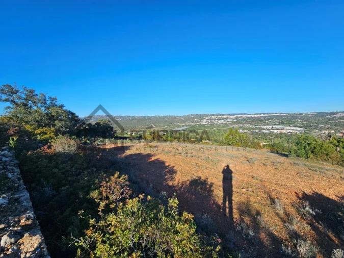 Terreno Agricola ou Rústico para Venda em Loule (São Sebastião) Foto 8