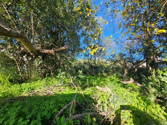 Moradia T5 para Venda em Loule (São Sebastião) Foto 15