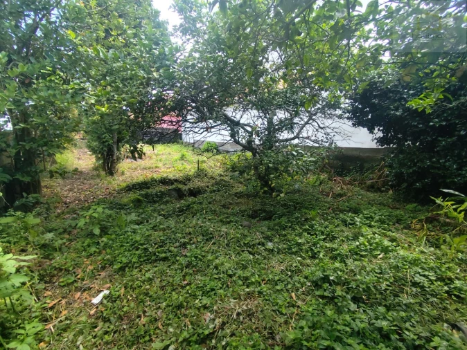 Moradia T3 para Venda em Arrifes Foto 10