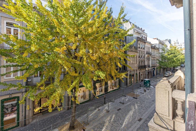 Escritório para Arrendamento em Cedofeita, Santo Ildefonso, Sé, Miragaia, São Nicolau e Vitória Foto 20