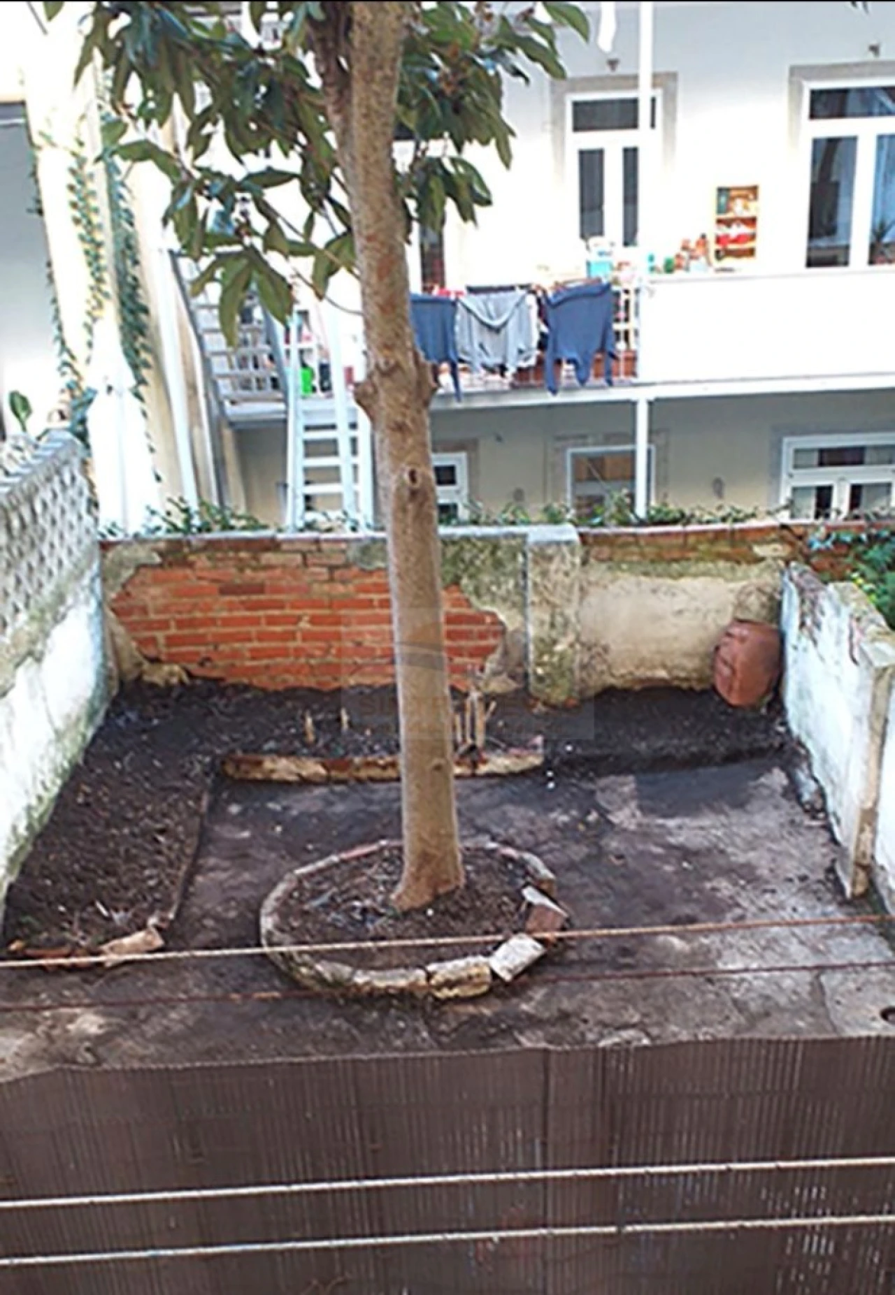 Apartamento T3 para Venda em Arroios Foto 5