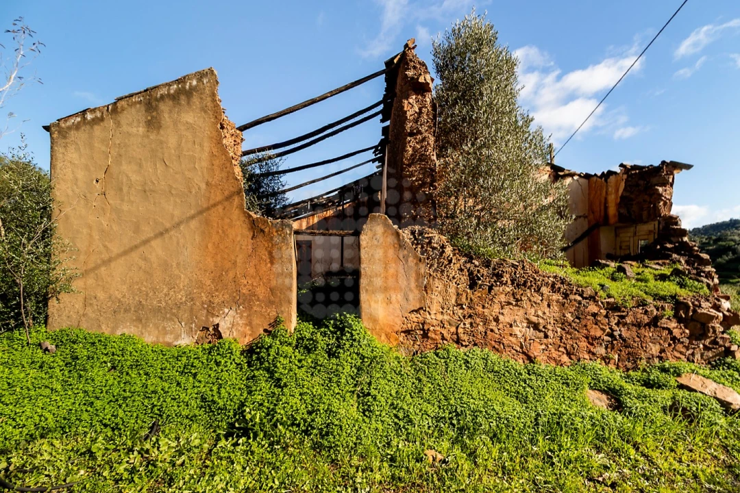 Quinta T4 para Venda em Silves Foto 3