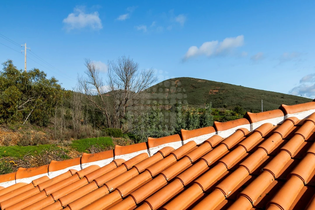 Quinta T4 para Venda em Silves Foto 37