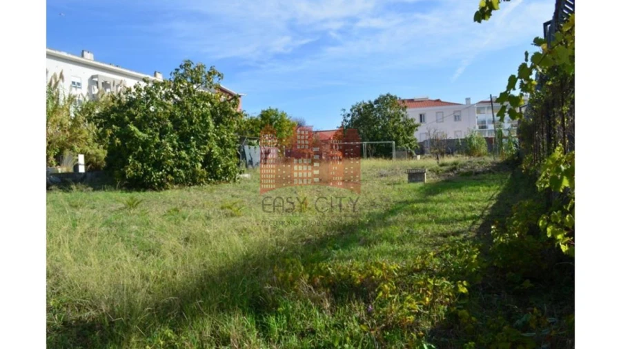 Terreno para Venda em Ajuda Foto 4