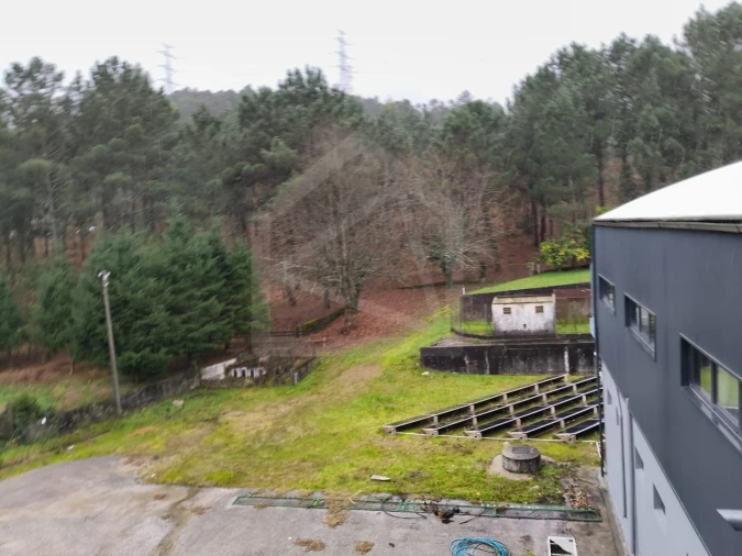 Armazém para Venda em Cesar Foto 14