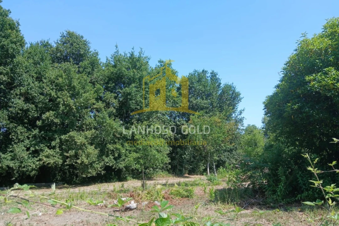 Terreno para Venda em Briteiros Santo Estêvão e Donim Foto 3