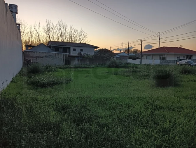 Terreno para Venda em Bustos, Troviscal e Mamarrosa Foto 9