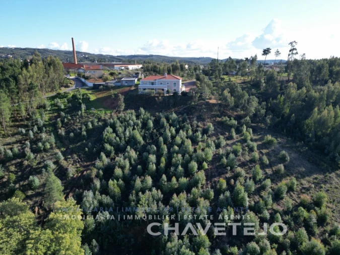 Moradia T3 para Venda em Martinchel Foto 60