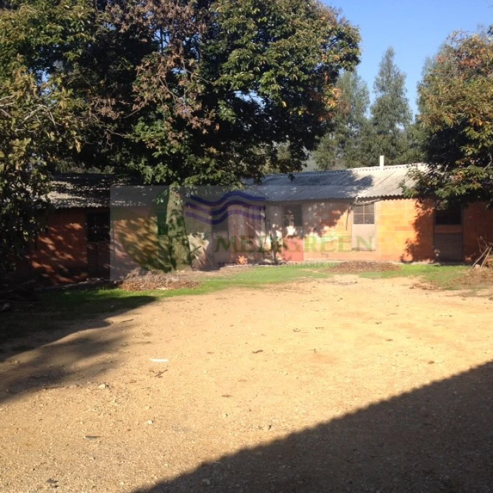 Armazém para Venda em Sever do Vouga Foto 1