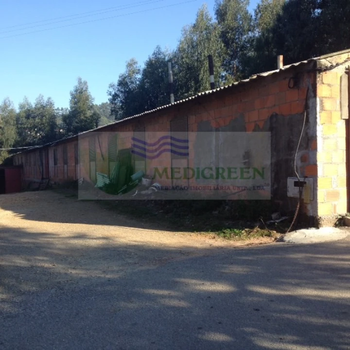 Armazém para Venda em Sever do Vouga Foto 5