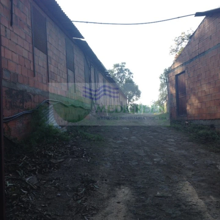 Armazém para Venda em Sever do Vouga Foto 8