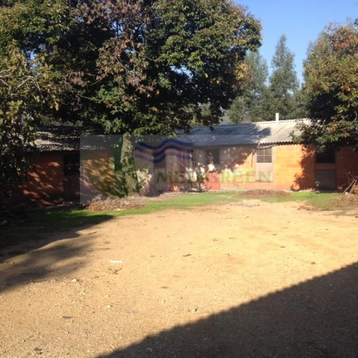 Armazém para Venda em Sever do Vouga Foto 1