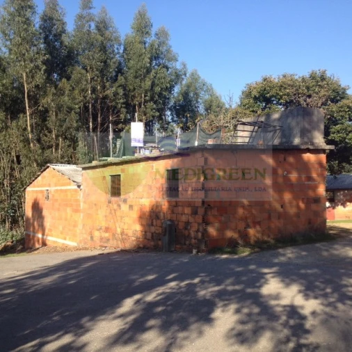 Armazém para Venda em Sever do Vouga Foto 2