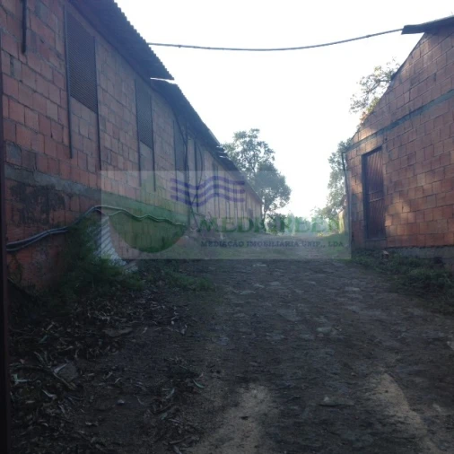 Armazém para Venda em Sever do Vouga Foto 8