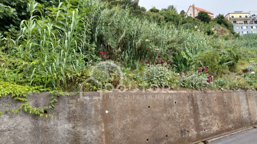 Terreno para Venda em São Roque Foto 3