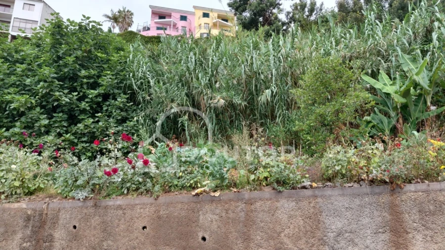 Terreno para Venda em São Roque Foto 4