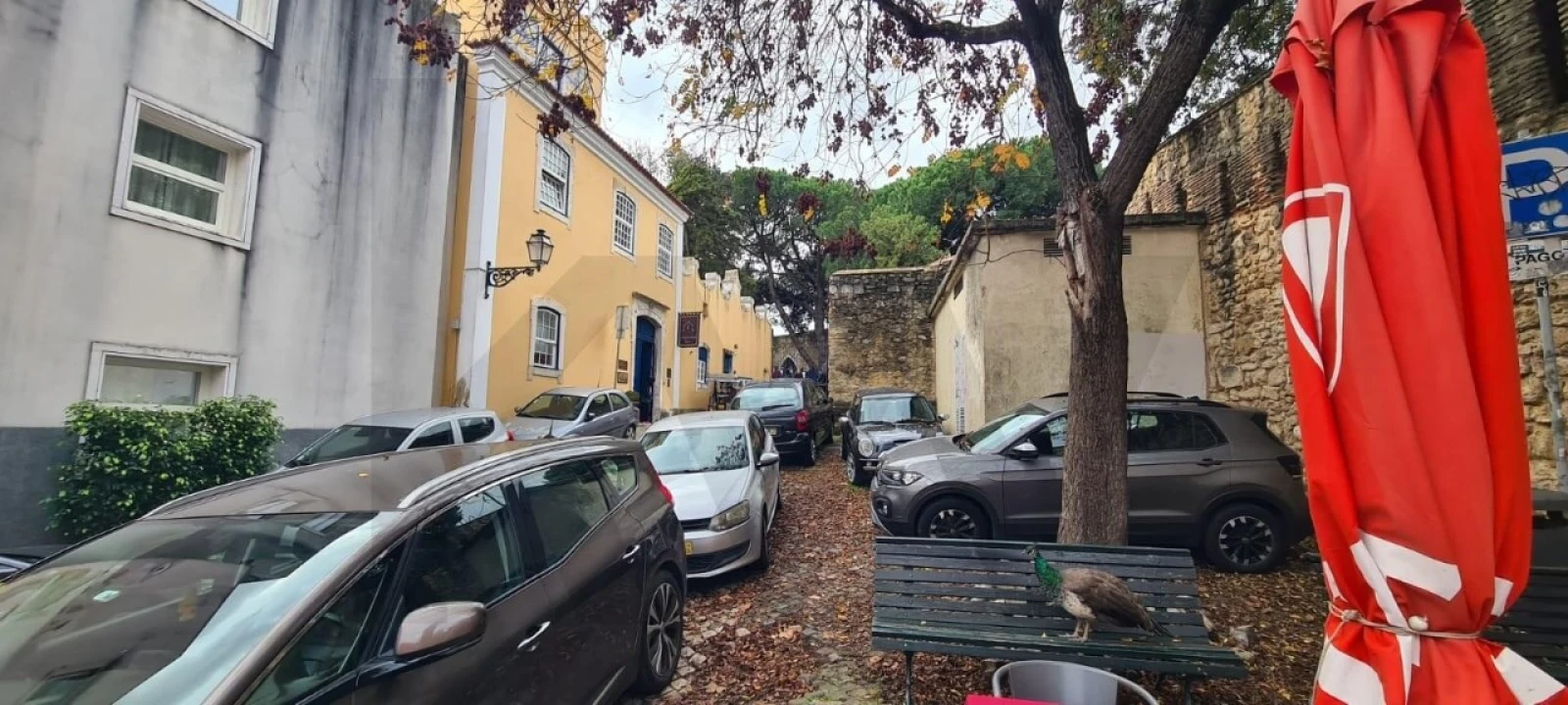 Loja para Venda em Santa Maria Maior Foto 11