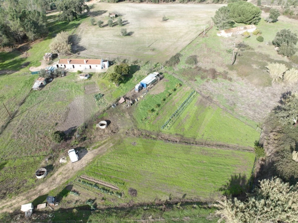 Terreno para Venda em São Domingos e Vale de Água Foto 3
