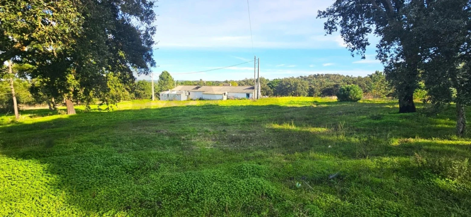 Quinta T4 para Venda em Melides Foto 5