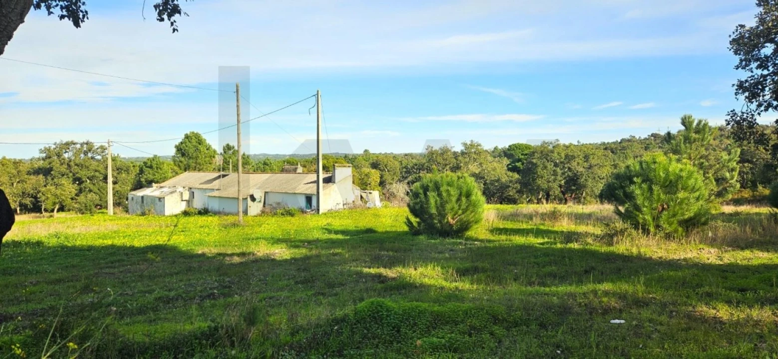 Quinta T4 para Venda em Melides Foto 7