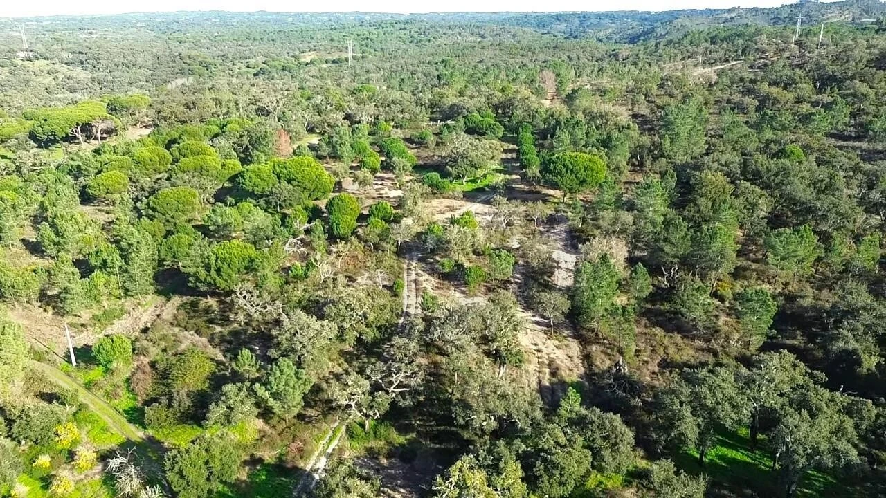 Quinta T4 para Venda em Melides Foto 16