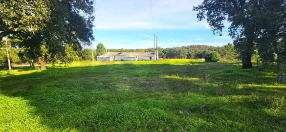 Quinta T4 para Venda em Melides
