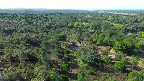 Quinta T4 para Venda em Melides
