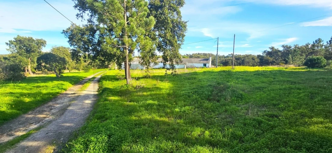 Quinta T4 para Venda em Melides Foto 4